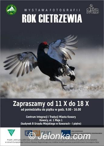 Region: Wystawa fotograficzna „Rok cietrzewia” w Kowarach
