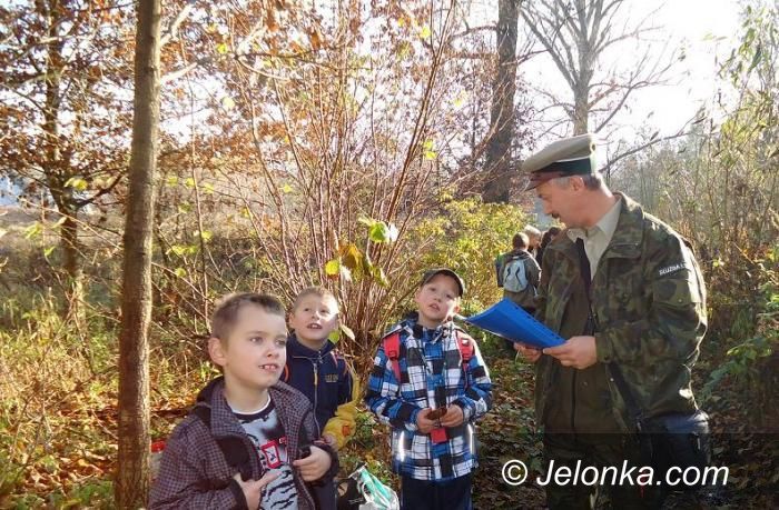 Jelenia Góra: Uczniowie z „Siódemki”dbają o zwierzęta leśne