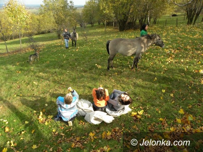 Jelenia Góra: Ludzie ze „Skalnego Mostu” pomagają od trzech lat