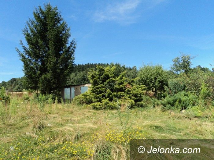 Jelenia Góra: Co z boiskiem i parkiem rekreacji w Goduszynie?