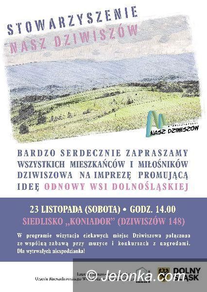 Dziwiszów: Już jutro wielkie zwiedzanie zakątków Dziwiszowa