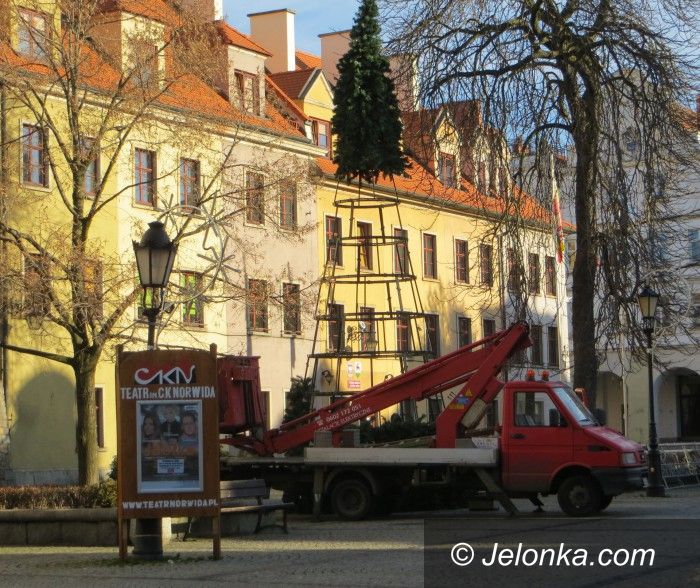 Jelenia Góra: Na Placu Ratuszowym już „rośnie” choinka