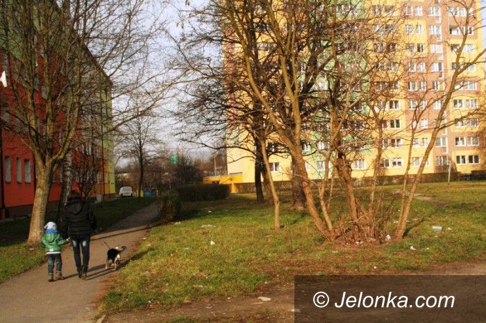 Jelenia Góra: Mieszkańcy: Od dwóch miesięcy żyjemy wśród śmieci