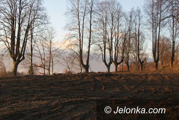 Jelenia Góra: Upamiętnią dawnych mieszkańców Goduszyna