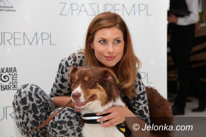 Kraj/Region: Pomóż zwierzętom przetrwać zimę z Animals i Tesco