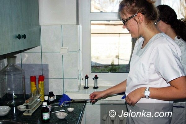 Jelenia Góra: Norwidowski Zawrót Głowy