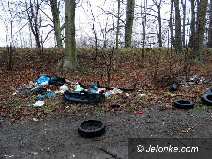Region: Czytelniczka: to trzeba posprzątać