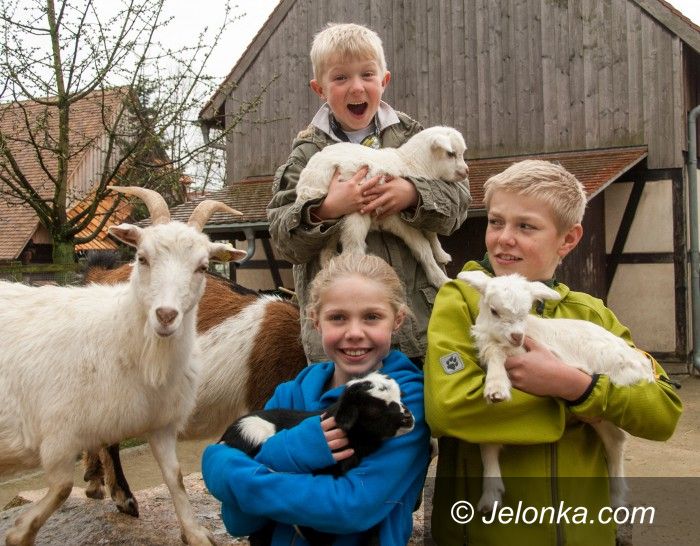Region: Trojaczki w Naszym Zoo na początek wiosny 
