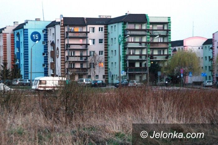 Jelenia Góra: Kto wykosi te chaszcze?