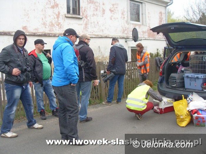 Region: Hodował psy w złych warunkach