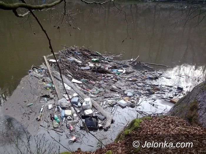Jelenia Góra: Czy ktoś w końcu to posprząta?