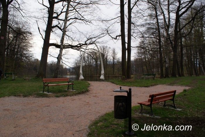 Mysłakowice: Szczęki wieloryba wróciły do parku w Mysłakowicach