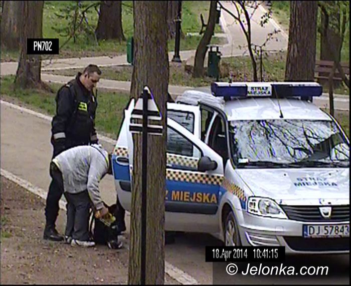 Jelenia Góra: Zabili gołębia w Parku Norweskim