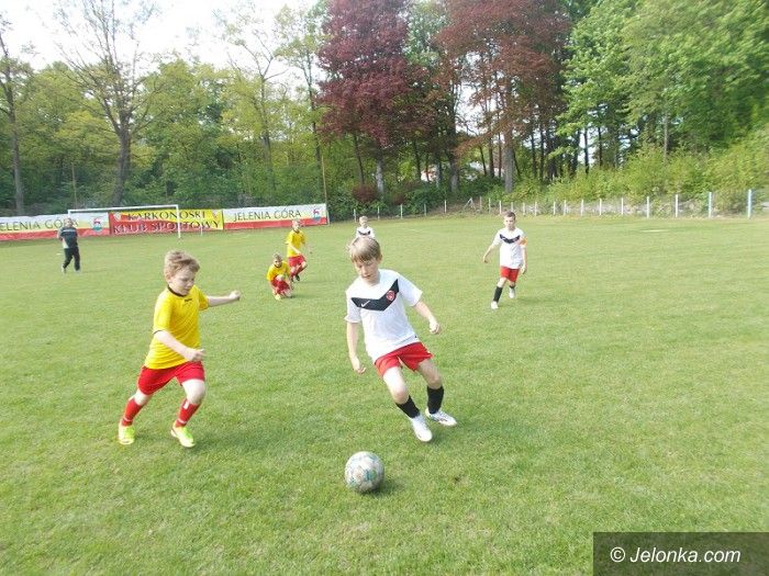 Bolesławiec/Jelenia Góra: Sukces jeleniogórskich orlików