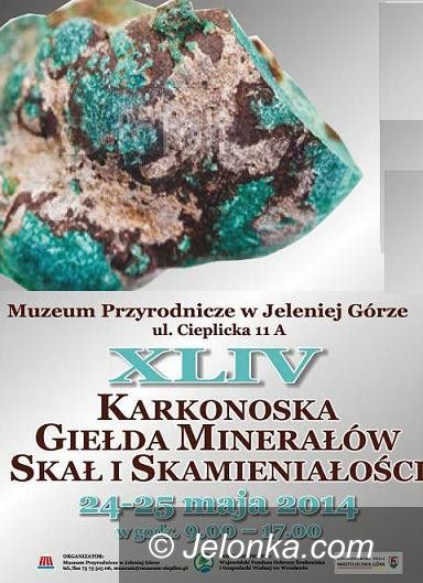 Jelenia Góra: Od jutra Karkonoska Giełda Minerałów, Skał i Skamieniałości