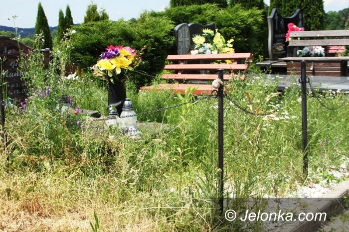 Jelenia Góra: Nie pamiętają o grobach bliskich, mogiły zarastają