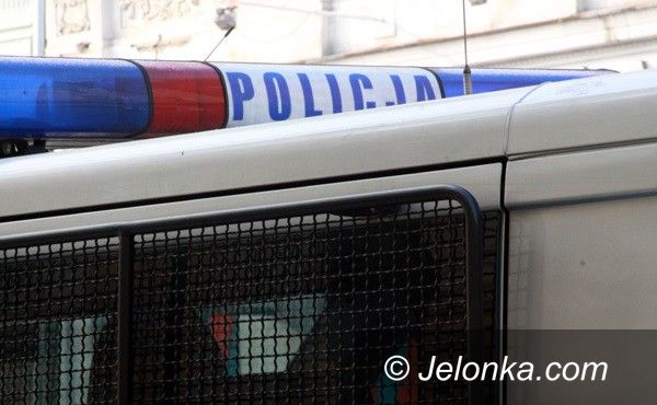 Jelenia Góra: Zabił kota skacząc po nim
