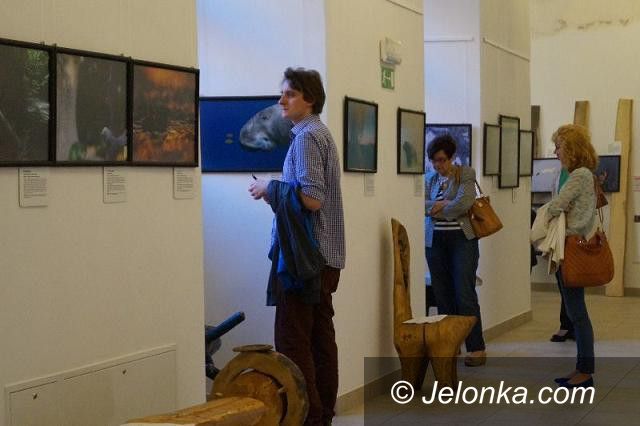 Jelenia Góra: Dziko w Muzeum Przyrodniczym