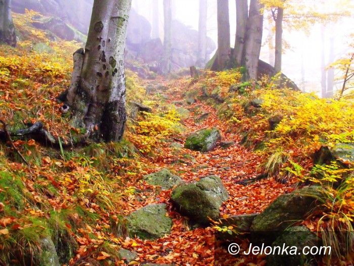 Jelenia Góra: Na co pieniądze z budżetu obywatelskiego?
