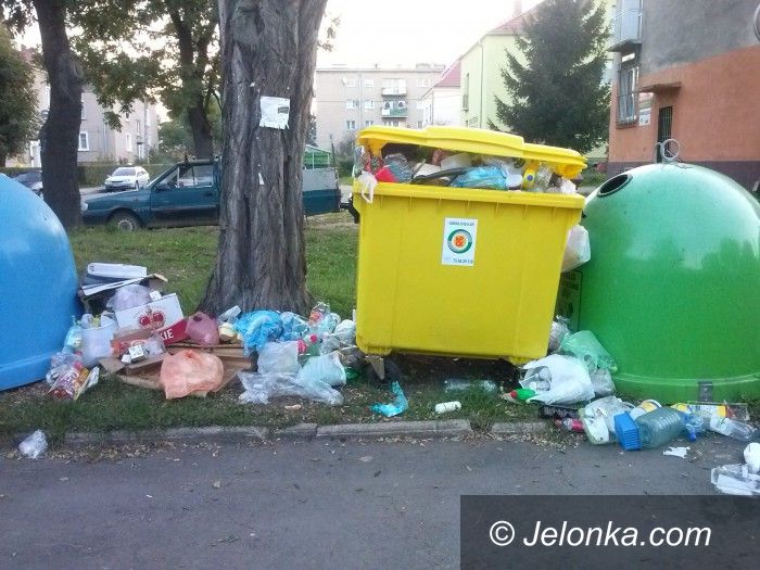 Jelenia Góra: Czytelnik: Kto i kiedy to posprząta?