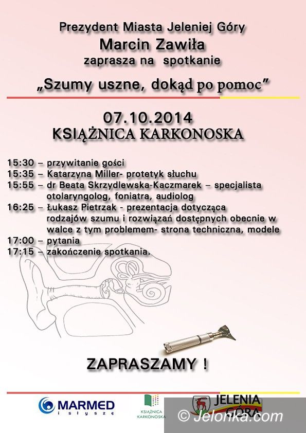 Jelenia Góra: Spotkanie o szumach usznych