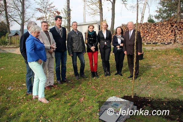 Piechowice: Jabłoń fundamentem współpracy polsko–niemieckiej