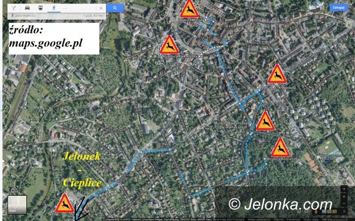 Jelenia Góra: Powstaje szlak jelonków, możesz pomóc w jego tworzeniu!