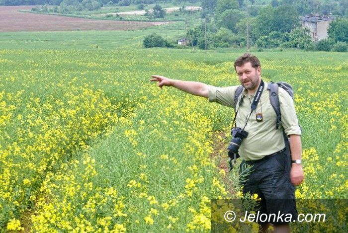 Kowary: Sudety Zachodnie w kowarskim Gościńcu