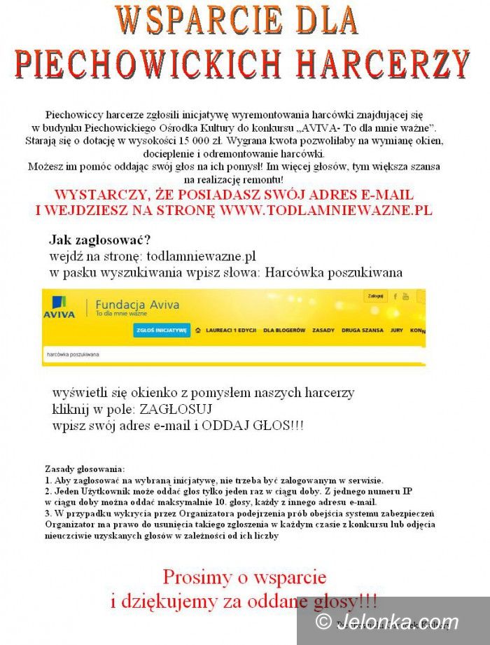 Piechowice: Wesprzyj piechowickich harcerzy swoim głosem
