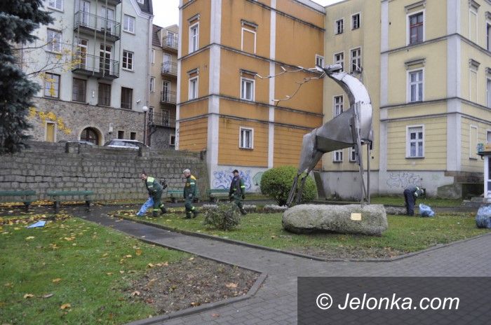 Jelenia Góra: Sadzili kwiaty w… listopadzie. Zwariowali?