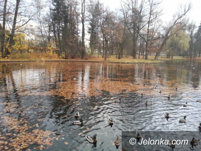 Jelenia Góra: Czytelniczka: pieniądze toną w parkowym stawie