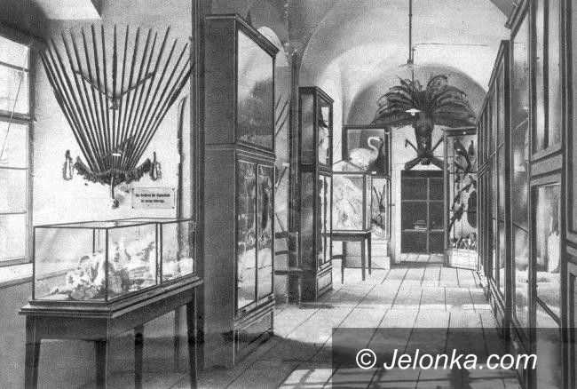 Jelenia Góra: Muzeum Przyrodnicze, jak feniks z popiołów
