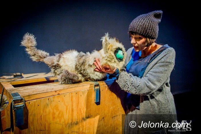 Jelenia Góra: Odczarowywanie teatru z Kotem Zenem