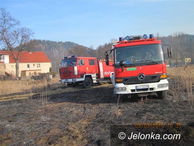 Region: Plaga pożarów traw w regionie
