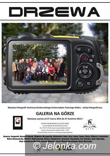 Jelenia Góra: “Drzewa” w Galerii na Górze