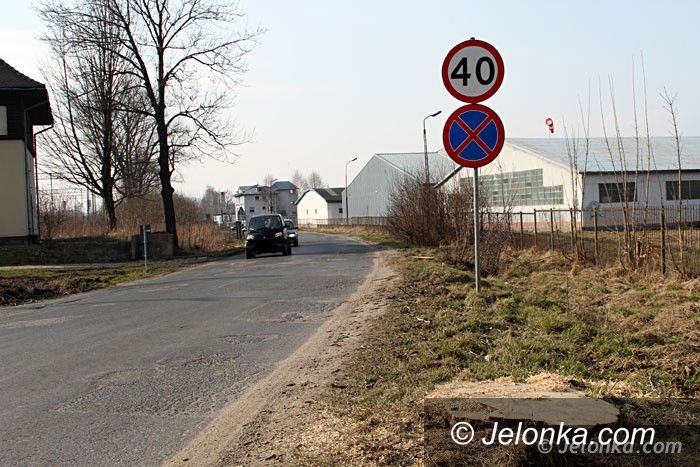 Jelenia Góra: Wycięto drzewa przy ul. Łomnickiej