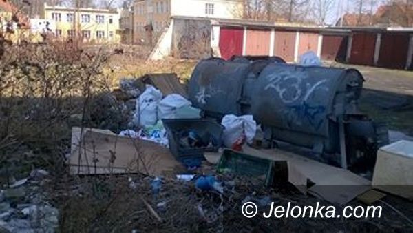 Jelenia Góra: Dzikie wysypisko w centrum Cieplic
