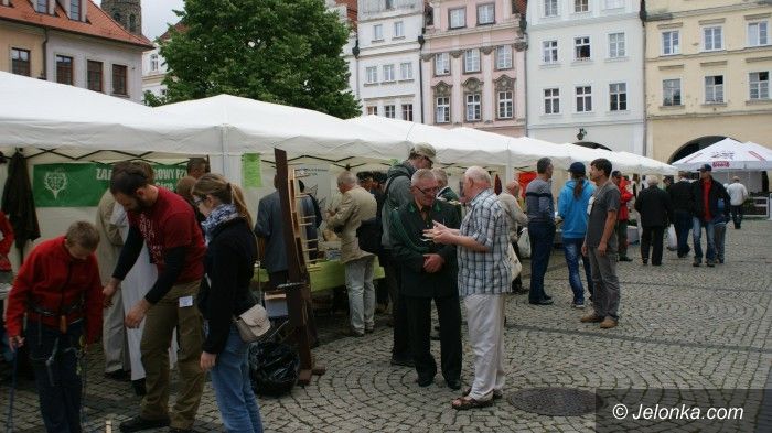 Jelenia Góra: Można się zgłaszać na targi organizacji pozarządowych