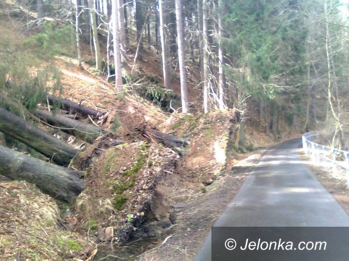 Jelenia Góra: Czytelnik:  Wichura nie oszczędziła trasy do Perły Zachodu