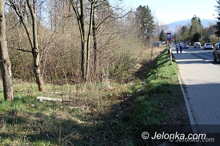 Jelenia Góra: Posprzątają Cieplice. Przyłącz się!
