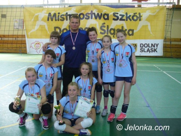 Wrocław: Sreberka z Janowic Wielkich