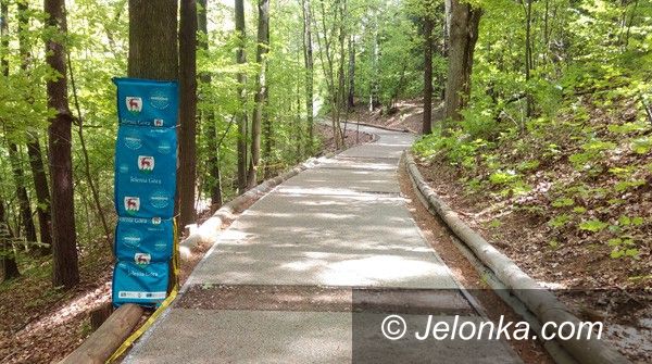 Jelenia Góra: Trasa nartorolkowa w Sobieszowie w remoncie