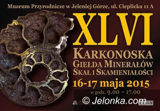 Jelenia Góra: 46. Karkonoska Giełda Minerałów, Skał i Skamieniałości