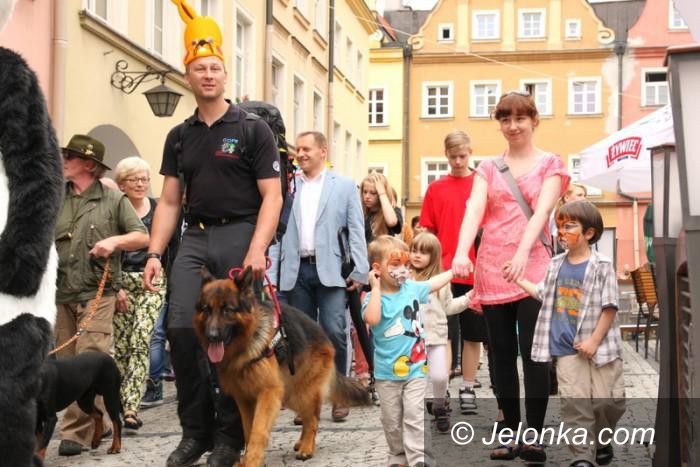 Jelenia Góra: Majówka ze zwierzakami już jutro. Będzie się działo!