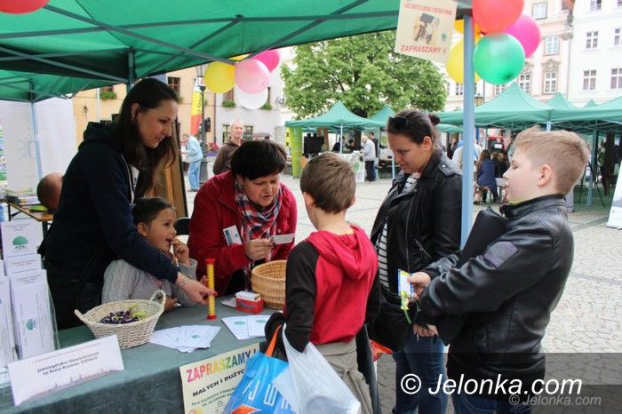 Jelenia Góra: Targi organizacji pozarządowych – było co oglądać