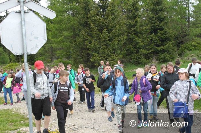 Jelenia Góra: Uczniowie z „Dwójki” na Rajdzie Uczniaka