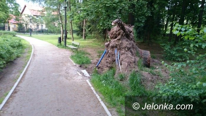 Jelenia Góra: Czytelnik: Park Zdrojowy zaniedbany