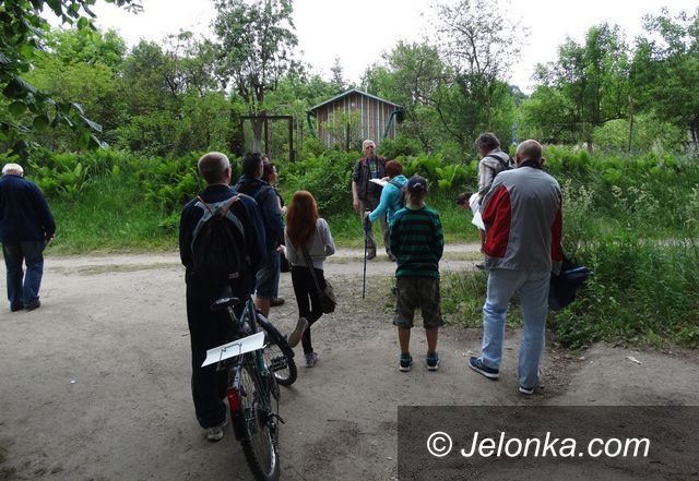 Jelenia Góra: Tropem muz na jeleniogórski Helikon