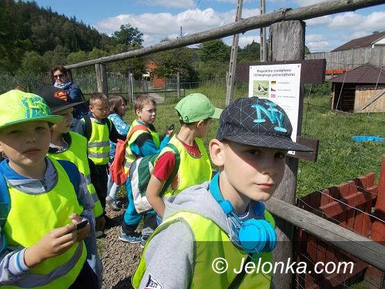 Region: U egzotycznych mieszkańców zoo w Łącznej