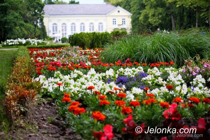Jelenia Góra: Ponad 18 tysięcy nowych nasadzeń w Parku Zdrojowym